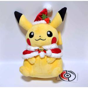 ポケモンセンターオリジナル ぬいぐるみ マンスリーピカチュウ2015年5