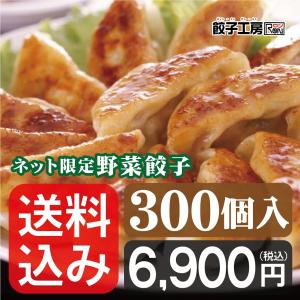 餃子 ネット限定野菜餃子 300個 (50個入×6袋) ／ 送料込み 《 レンジ 調理可能 》 あっさり餃子! ぎょうざ 餃子工房 RON みまつ食品｜ron-gyouza