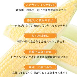 コーン茶 北海道産 4g×40包 ティーバッグ...の詳細画像4