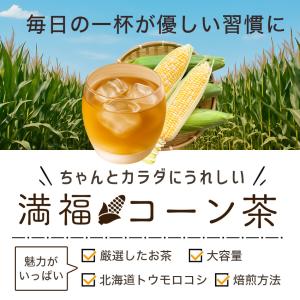 コーン茶 北海道産 4g×40包 ティーバッグ...の詳細画像5