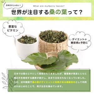 桑の葉茶 オーガニック 2g x 51包 ティ...の詳細画像3