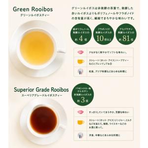 グリーンルイボスティー オーガニック ルイボス...の詳細画像3
