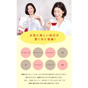 やさしいルイボスティ111包入 水出し アイス...の詳細画像3
