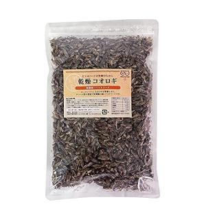 乾燥 コオロギ 100g (約1000匹〜1200匹)イエコオロギ 食用