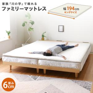 フランスベッド（FRANCEBED） リクライニングマットレス Ag-BAE-PW-FK