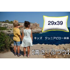 枕 まくら 29×39 洗える 子供 子ども キッズ ジュニア 長方形 クッション 中身 高さ：ふつう｜room-style