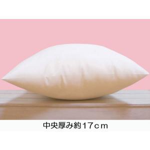 ヌードクッション クッション中身 クッション ...の詳細画像1