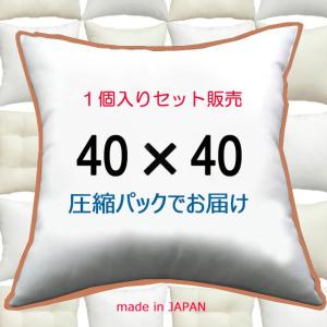 ヌードクッション クッション中身 クッション 4...の商品画像