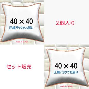 ヌードクッション クッション中身 クッション 40×40 ２個セット 日本製｜room-style