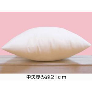 ヌードクッション クッション中身 クッション ...の詳細画像1