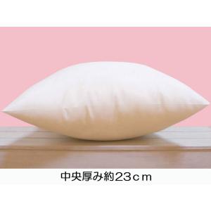 ヌードクッション 55×55cm 本体 中材 ...の詳細画像1