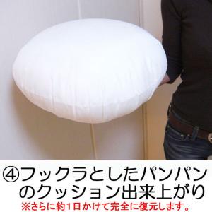 ヌードクッション クッション 丸 60cm丸 ...の詳細画像5