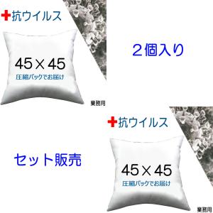 NEW ヌードクッション クッション 中身 45×45 安心の抗ウイルス加工　抗菌防臭 医院や施設の業務用 2個セット
