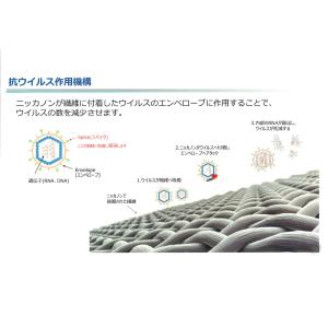 NEW ヌードクッション クッション 中身 4...の詳細画像2
