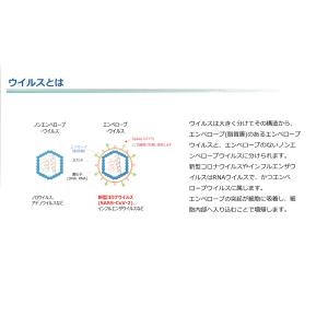 NEW ヌードクッション クッション 中身 4...の詳細画像3