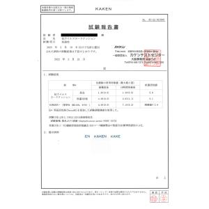 NEW ヌードクッション クッション 中身 4...の詳細画像4