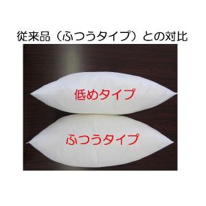 枕 まくら 快眠枕 43×63 洗える 中身 ...の詳細画像1
