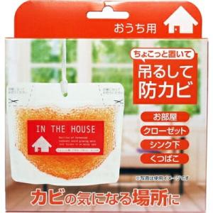 ビッグバイオ　ちょこっと置いて吊るして防カビ　おうち用　150g　吊り下げ　クローゼット　置くだけ