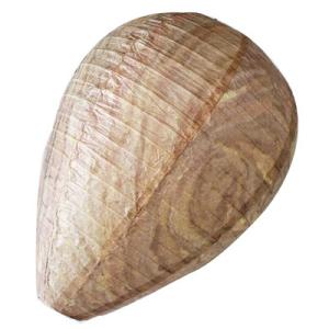 富士商　ダミーハチの巣　Ｆ20243　忌避　安全　アウトドア