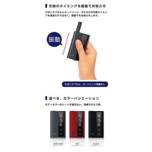 【メール便送料無料】VP japan ヴイティ...の詳細画像2