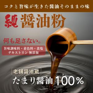 醤油 粉 国産 たまり醤油 100% 塩置換 ...の詳細画像1