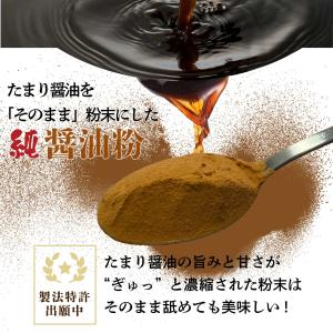 醤油 粉 国産 たまり醤油 100% 塩置換 ...の詳細画像2