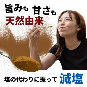 醤油 粉 国産 たまり醤油 100% 塩置換 ...の詳細画像5