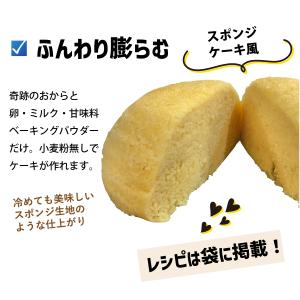 おからパウダー 超微粉 国産 糖質ゼロ 微粉 ...の詳細画像3