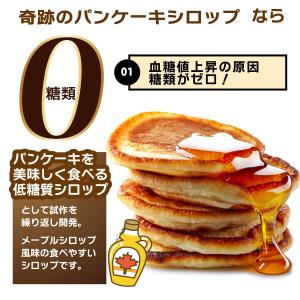 メープルシロップ 風 糖類ゼロシロップ ゼロシ...の詳細画像2