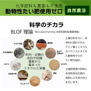 有機 玄米粉 米粉 500g 会津産 こしひか...の詳細画像1