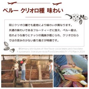 カカオパウダー クリオロ100% 有機 非アル...の詳細画像5