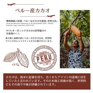 ココアパウダー 純ココア 非アルカリ処理 無糖...の詳細画像3