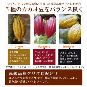 ココアパウダー 純ココア 非アルカリ処理 無糖...の詳細画像5