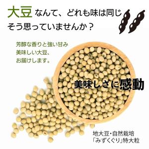 大粒 地大豆 200g x 3袋 自然栽培 無農薬・無化学肥料 産地限定 国産 大豆 甘さとコク 豆乳 味噌 豆腐 滋賀県 みずくぐり 不耕起栽培 ポイント利用 爆買