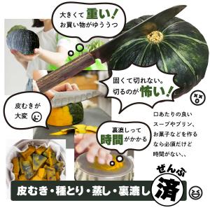 北海道 かぼちゃペースト 加熱済 裏ごし フレ...の詳細画像1