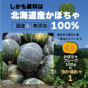 北海道 かぼちゃペースト 加熱済 裏ごし フレ...の詳細画像2