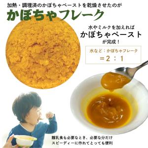 北海道 かぼちゃペースト 加熱済 裏ごし フレ...の詳細画像3