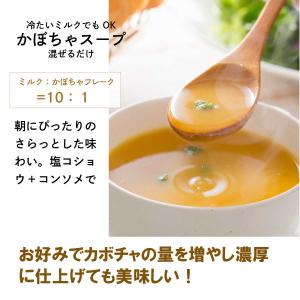 北海道 かぼちゃペースト 加熱済 裏ごし フレ...の詳細画像4