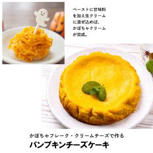 北海道 かぼちゃペースト 加熱済 裏ごし フレ...の詳細画像5