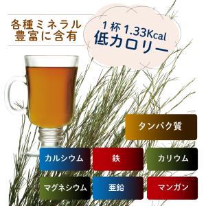グリーンルイボス オーガニック 200杯分 1...の詳細画像4