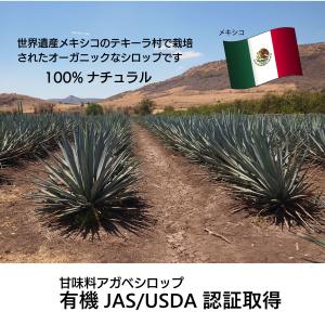 プレゼント付 低GI 沖縄 クラフトコーラ ア...の詳細画像2