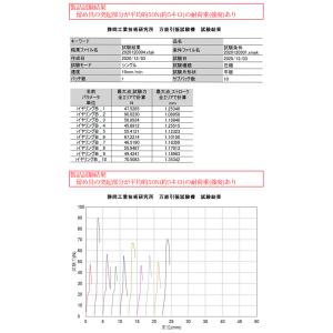 ABILES PLUS ネックレス FORCE...の詳細画像4