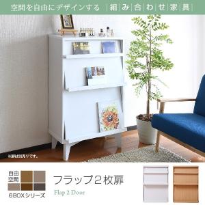 6BOXシリーズ ディスプレイラック フラップ扉 2枚 別売 脚付き 有り 代引不可 同梱不可｜roomdesign