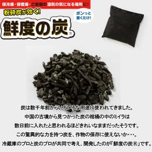鮮度の炭プラス 0袋 500g 鮮度の炭 炭 ...の詳細画像2