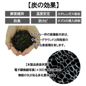 鮮度の炭プラス 0袋 500g 鮮度の炭 炭 ...の詳細画像3