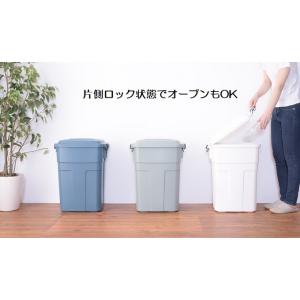 バケツ型 密閉 ゴミ箱 ペール缶 50L 50...の詳細画像5