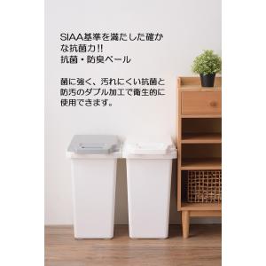 ゴミ箱 30リットル 33L 生ゴミ おむつ ...の詳細画像3