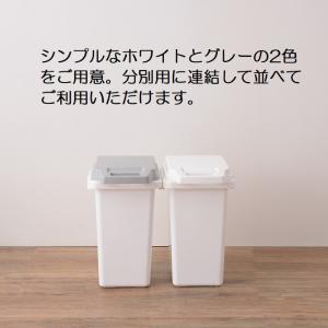ゴミ箱 30リットル 33L 生ゴミ おむつ ...の詳細画像4