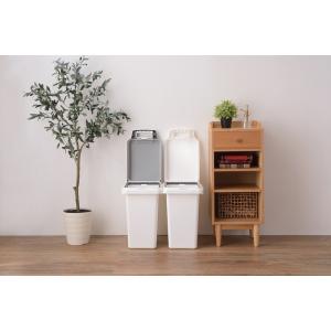 ゴミ箱 30リットル 33L 生ゴミ おむつ ...の詳細画像5