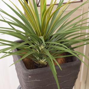 フェイクグリーン おしゃれ 人工観葉 観葉植物...の詳細画像4